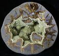 Calcite Crystal Filled Septarian Geode - Utah #33123-1